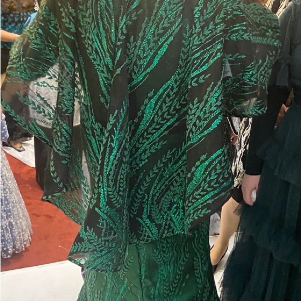 Custom Made Size 14 Gown - image 1